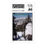 powder it the best!!! postage