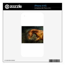 Power Decal For iPhone 4S