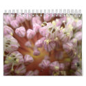 Power Flowers calendars by Tina1248 Power Flowers calendars
