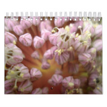 Power Flowers calendars by Tina1248 Power Flowers calendars