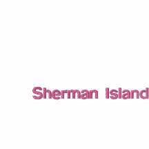 "Power Lines" Sherman Island Ladies Petite Tee