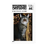 Power of Purrsuasion Stamp