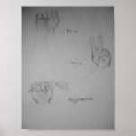 Power, Peace, Vegetarian Original Artwork Poster posters