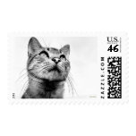 POWER stamps