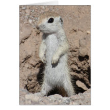 Power Ranger Squirrel Card