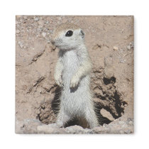 Power Ranger Squirrel Magnet