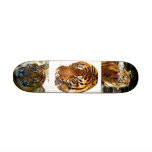 Power &amp; Strength_ Skateboard