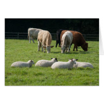 power to the sheep cards