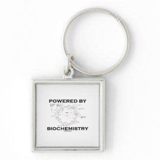 Powered By Biochemistry (Krebs Cycle) keychain