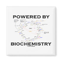 Powered By Biochemistry (Krebs Cycle) Magnet