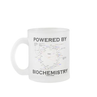 Powered By Biochemistry (Krebs Cycle) mug