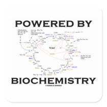 Powered By Biochemistry (Krebs Cycle / TCAC) Sticker