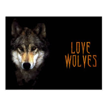 powerwolf post card