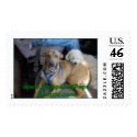 PPS Happy Harry postage by PamperedPupsSeattle PPS Happy Harry postage