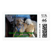 PPS Happy Harry postage