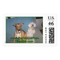 PPS Wave postage
