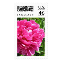 Practically Perfect Peony Postage Stamps