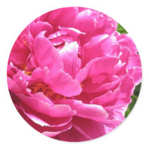 Practically Perfect Peony stickers by charlesblack7 Practically Perfect Peony stickers
