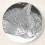 Práctico de costa, el dormir del gato posavasos personalizados