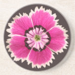 Práctico de costa fucsia de la flor posavasos diseño