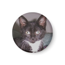 Prada magnets