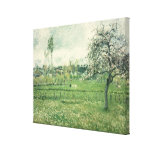 Prado en Eragny, 1885 Impresion De Lienzo