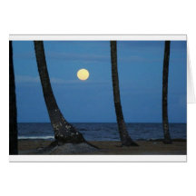 Praia Canes Cartoes