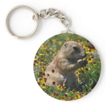 Praire Dog Keychain