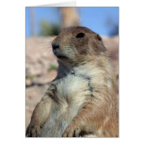 "Prairie Companion" Card.  Customize me!