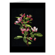 Prairie Crabapple Blossoms Greeting Card