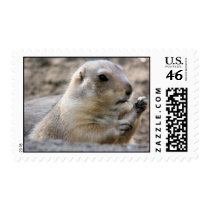 Prairie Dog 1 postage