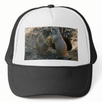 Prairie Dog-2 hats