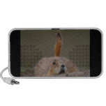 animal lover, animal, cute animal, cute animals,