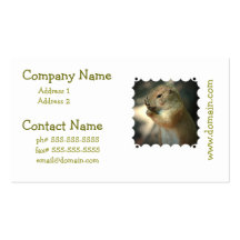 Prairie Dog Business Cards