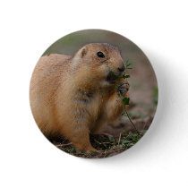 prairie dog pin