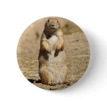 Prairie Dog Button