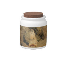 Prairie Dog Candy Jars