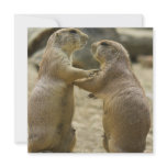 Prairie Dog Deal Invitations