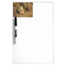 Prairie Dog Dry-Erase Whiteboard