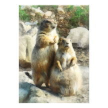 Prairie Dog Formal Portrait Card