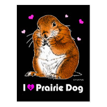 prairie dog (Heart) Post Card