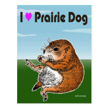 prairie dog (Heart) Post Cards