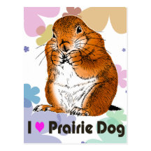 prairie dog (Heart) Postcard