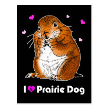 prairie dog (Heart) Postcard