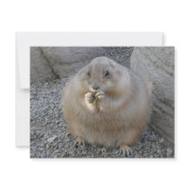 prairie dog invitations