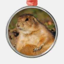 prairie dog is full christmas tree ornaments