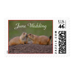 Prairie Dog, June Wedding, Stamp