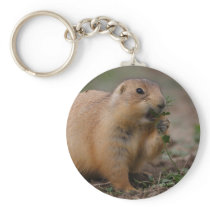 prairie dog keychains