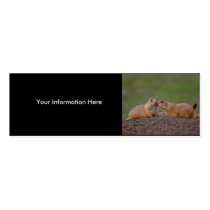 prairie dog kiss business cards