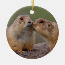 prairie dog kiss ornament
